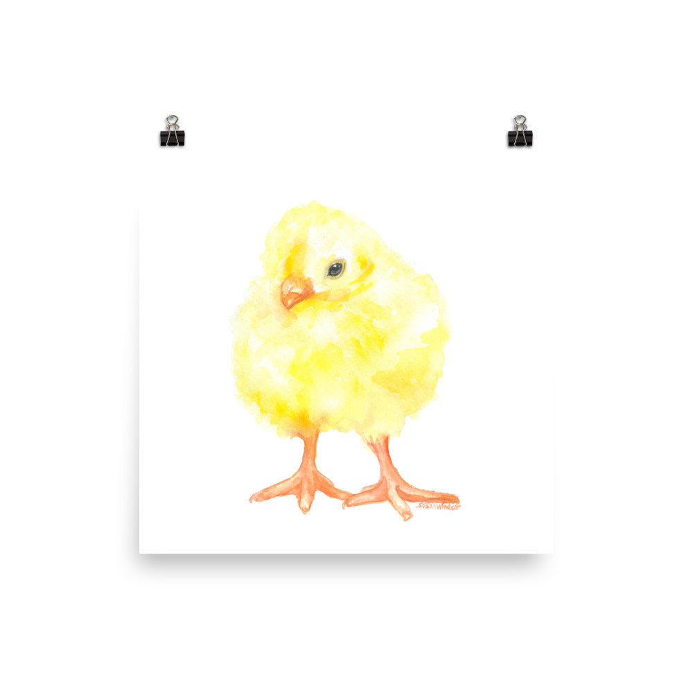 White Chicks Art Print