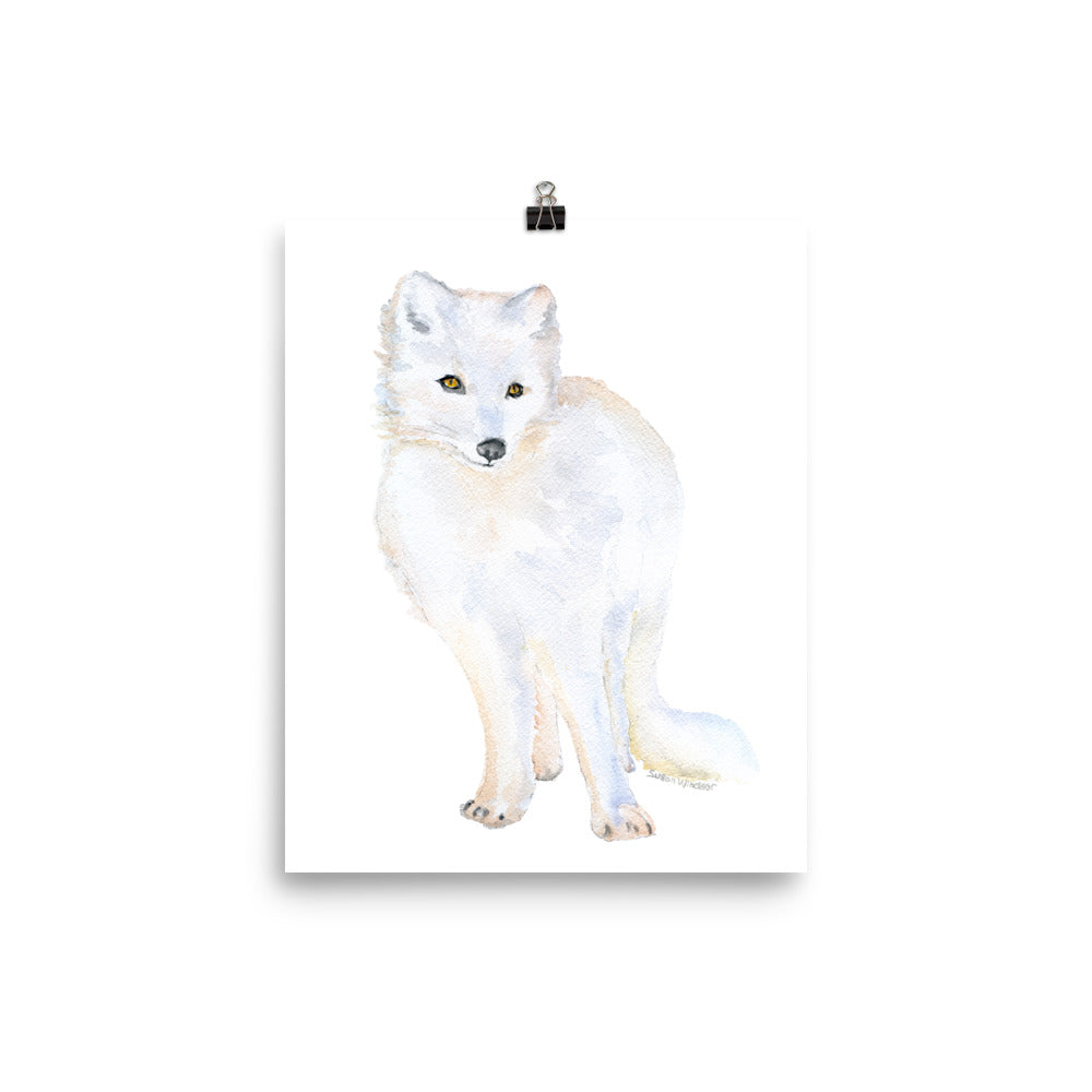 Arctic Fox - Watercolor Paint Poster for Sale by ABArtByAlexST