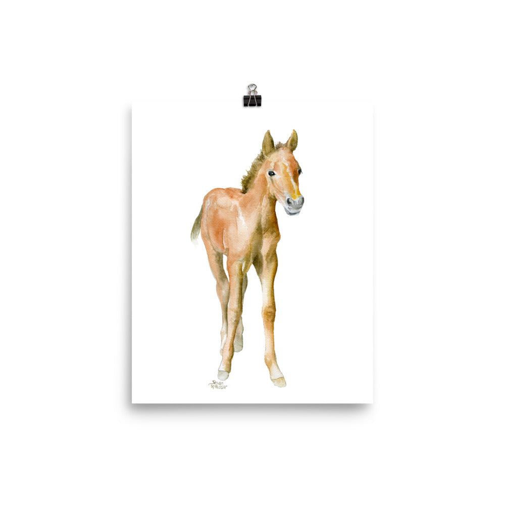 Apple Blossom Horse Watercolor Art Equestrian Bullet Journal - The Painting  Pony