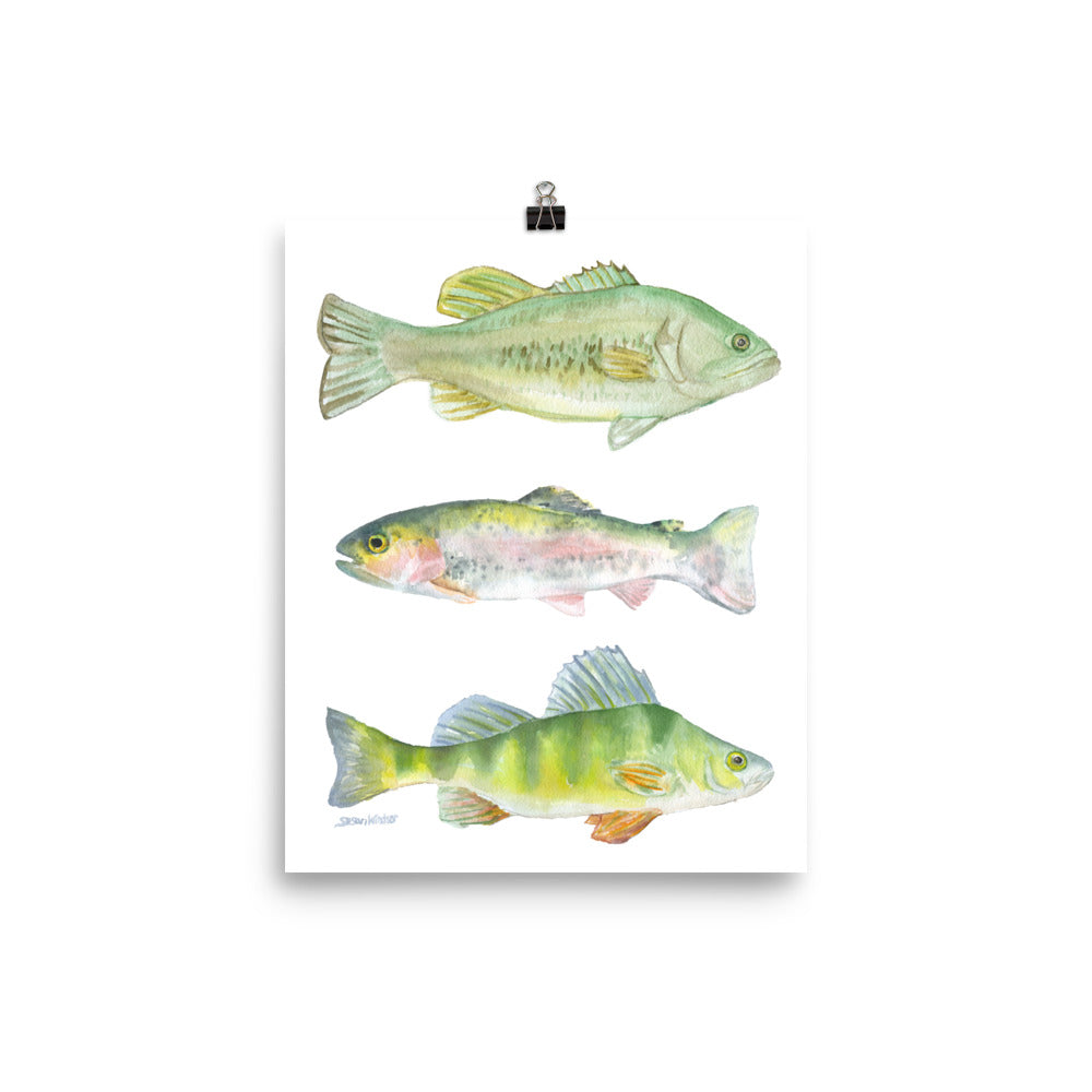 Largemouth Bass Fish Minimalist Watercolor Art Canvas Poster