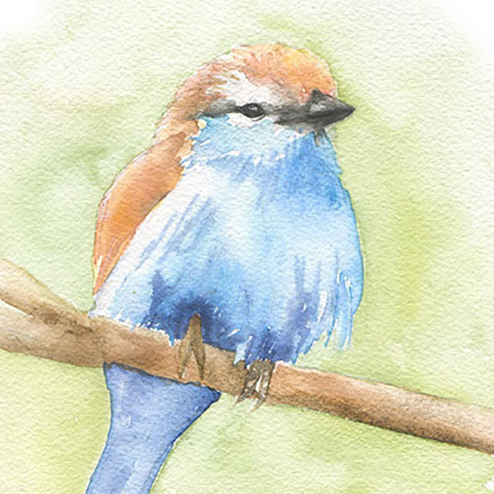 Small bird good with shield. Print from an original watercolor. Art 9