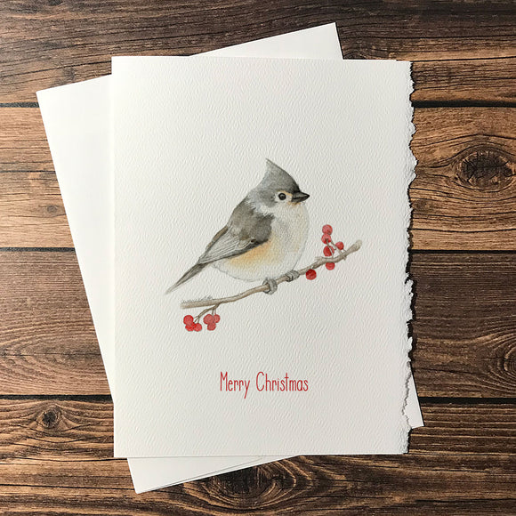 Tufted Titmouse Watercolor Christmas Card Set