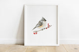 Tufted Titmouse Bird Watercolor Art Print