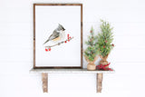 Tufted Titmouse Bird Watercolor Art Print