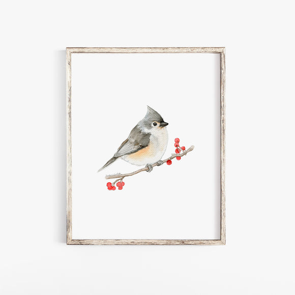 Tufted Titmouse Bird Watercolor Art Print