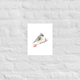 Tufted Titmouse Bird Watercolor Art Print