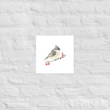 Tufted Titmouse Bird Watercolor Art Print