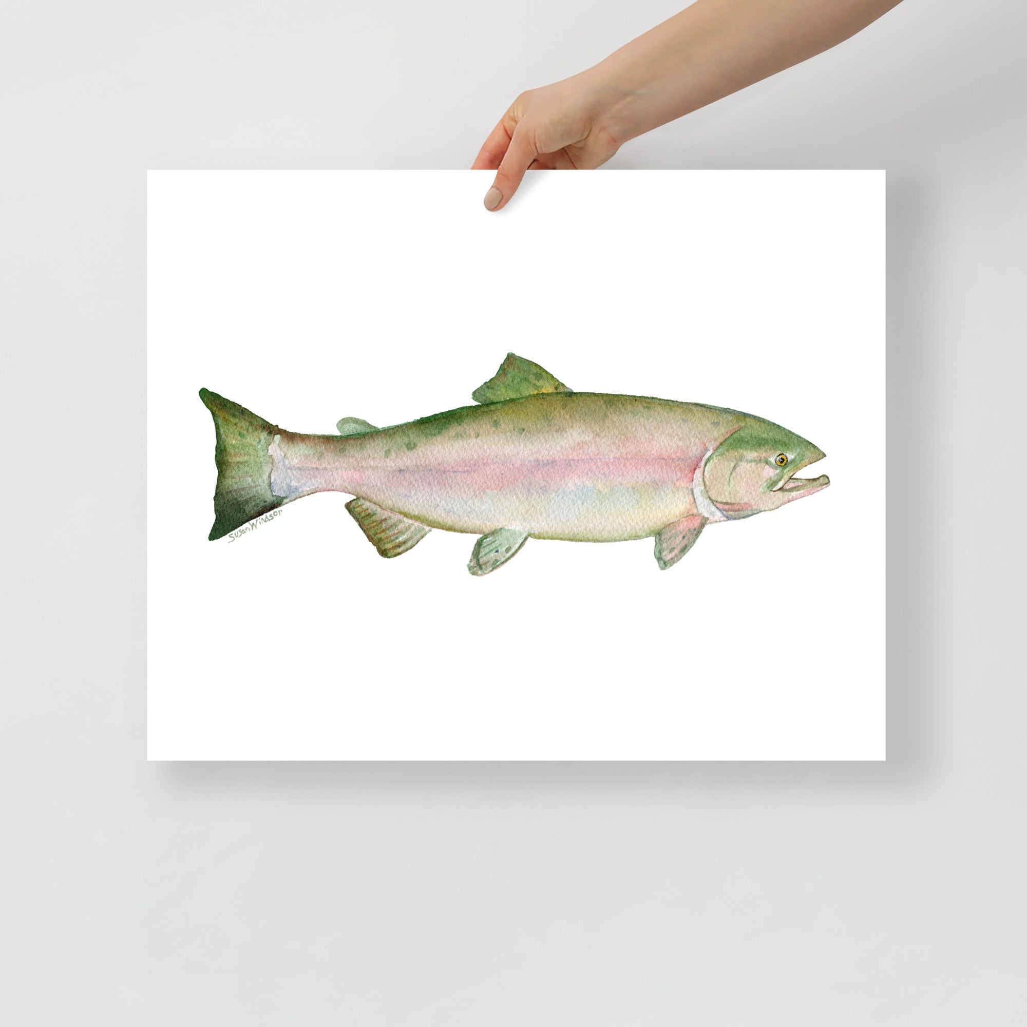 Rainbow Trout Poster – Poster Museum