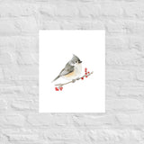 Tufted Titmouse Bird Watercolor Art Print