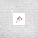 Tufted Titmouse Bird Watercolor Art Print