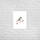 Tufted Titmouse Bird Watercolor Art Print