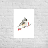 Tufted Titmouse Bird Watercolor Art Print