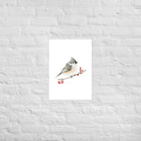 Tufted Titmouse Bird Watercolor Art Print