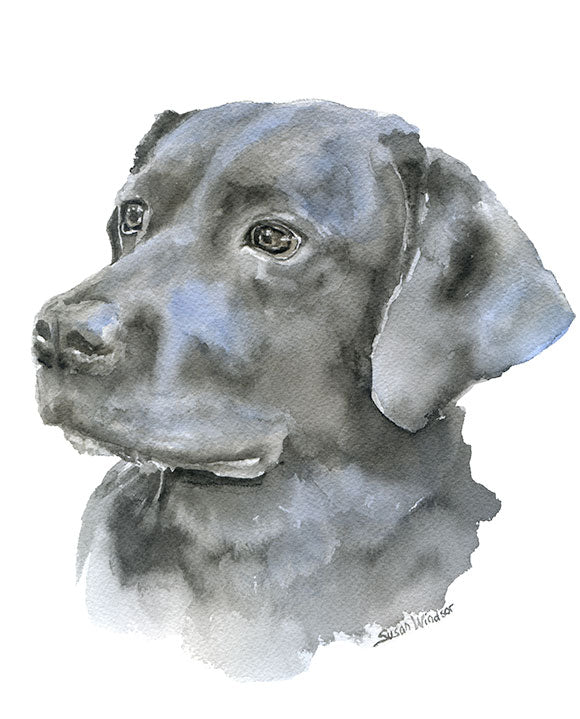 Custom Pet Dog buy Photo Portrait Hand Drawn and Painted Original Watercolor Art Painting