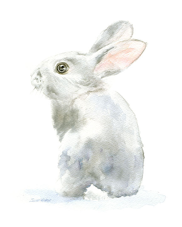 Rabbit Original Watercolor Painting, Bunny Rabbit, Bunny outlets Painting, Rabbit Art, Animal Illustration.