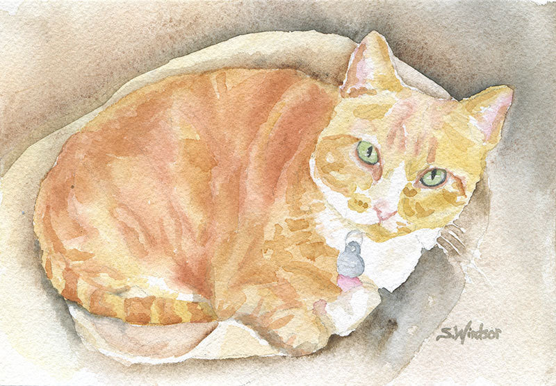 Custom Pet Portrait - your cat, dog, bunny or other creature - Classic Style Pen & Ink with fashion watercolour - Unique, Custom Art