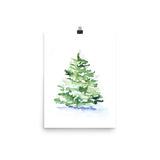 Watercolor Pine Tree