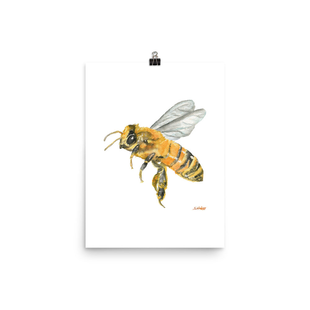 Watercolor Honey Bee Digital Papers Graphic by BonaDesigns