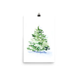 Watercolor Pine Tree