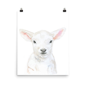 Baby Lamb Face Watercolor